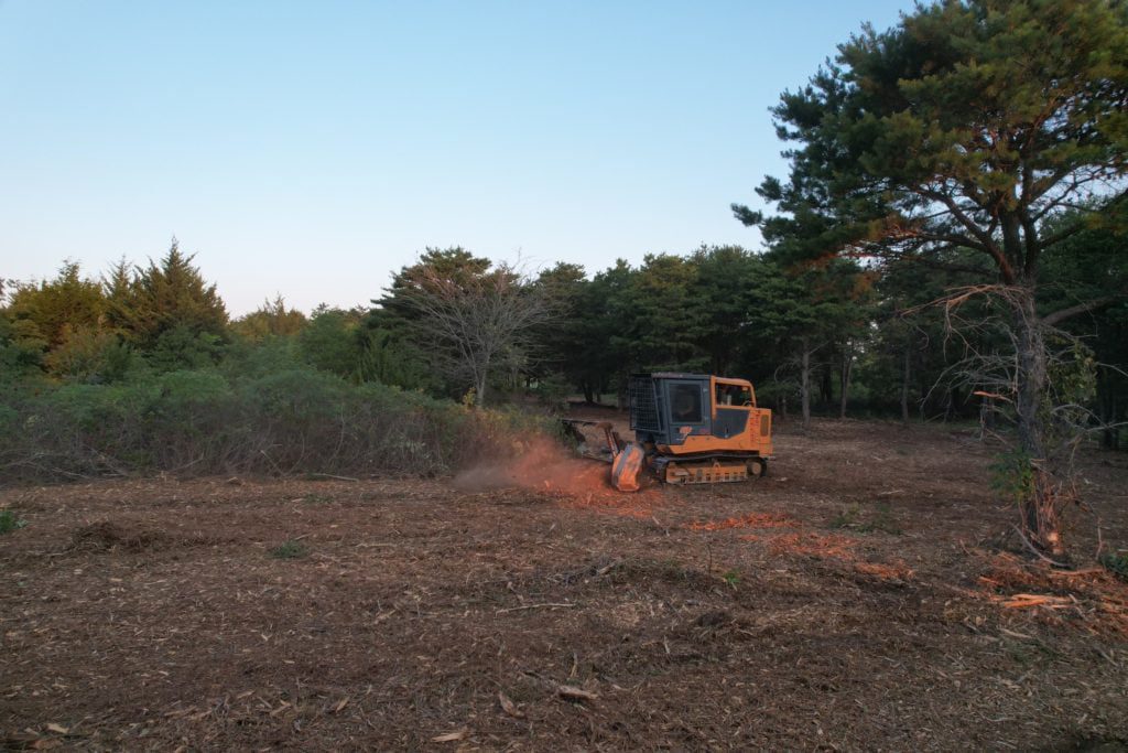 Norman Forestry Mulching