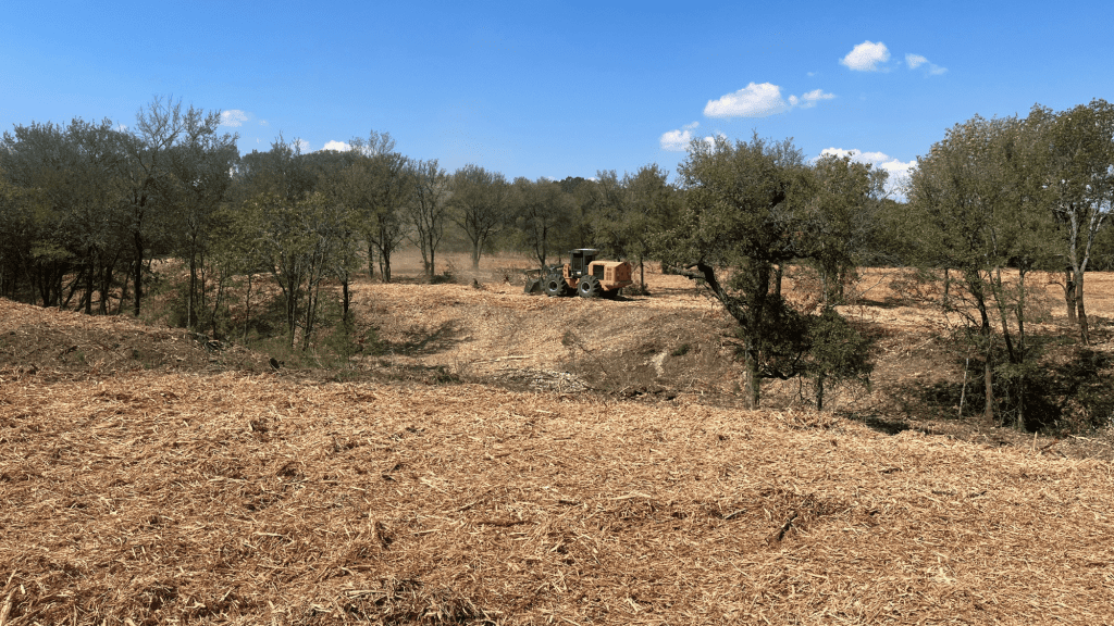 Lubbock Forestry Mulching Services