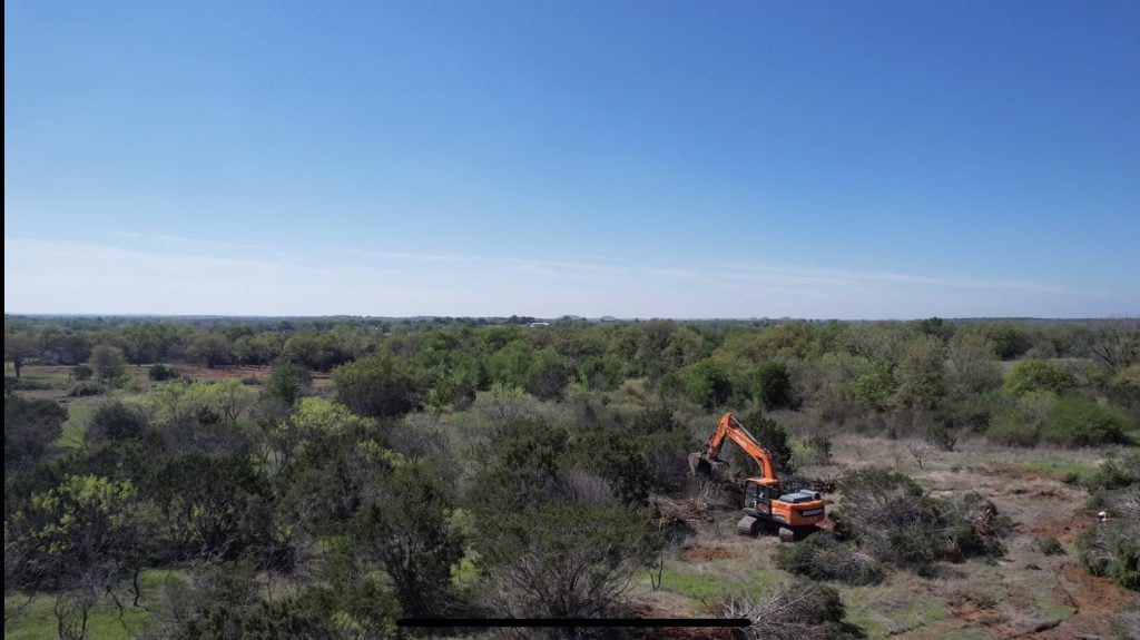 Dallas Tree Clearing Services