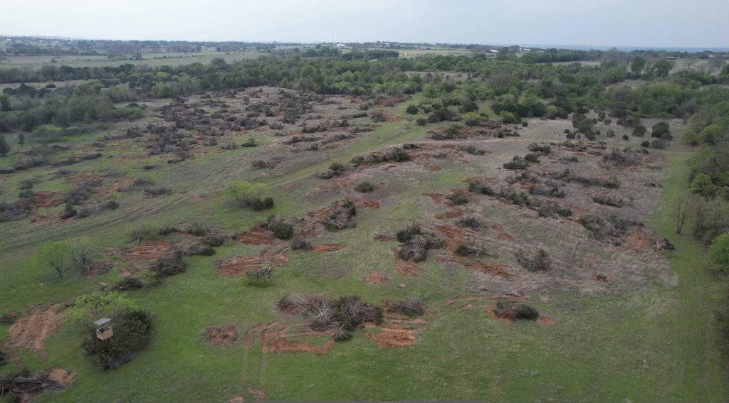 Amarillo Tree Clearing Services