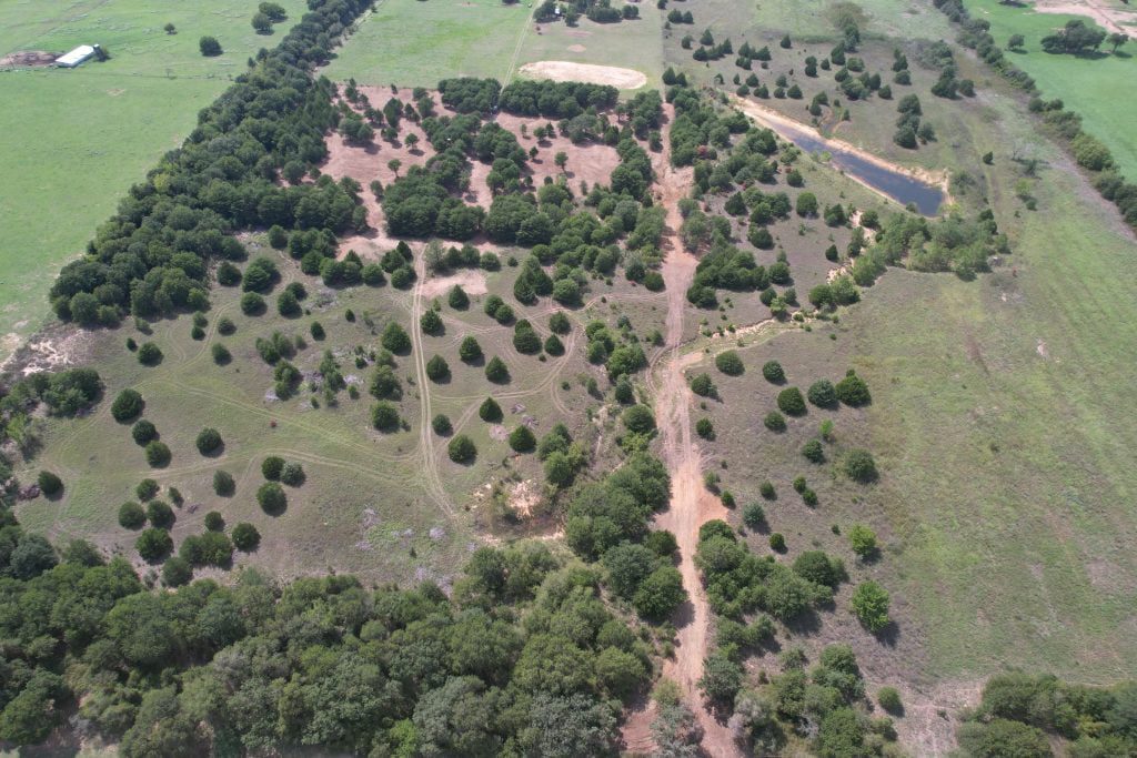 Pearland Land Clearing Services