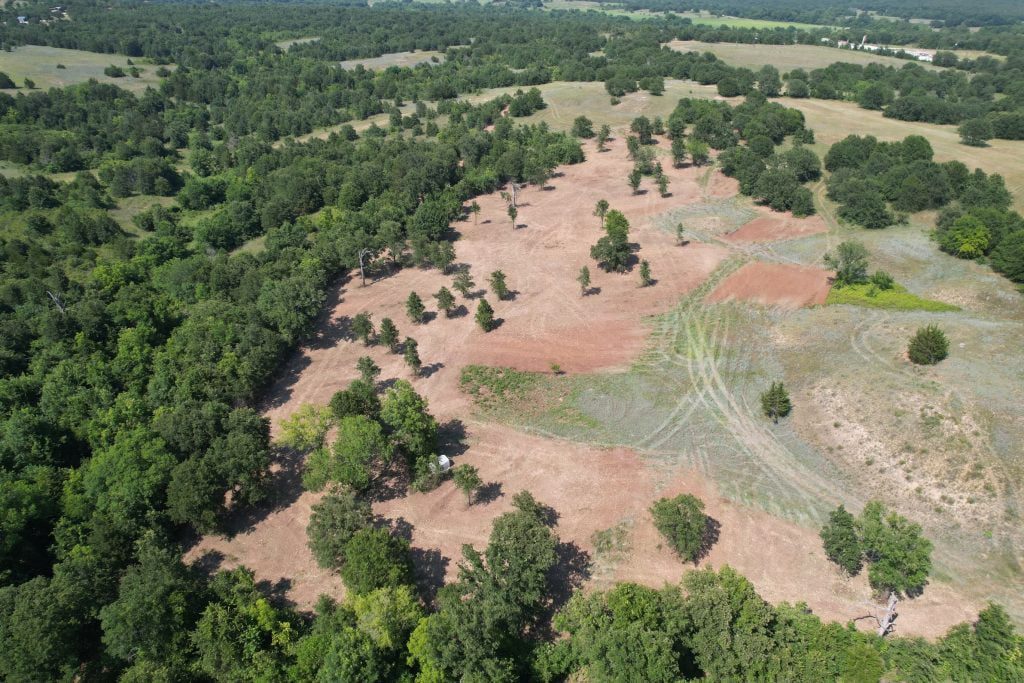 Plano Land Clearing Services