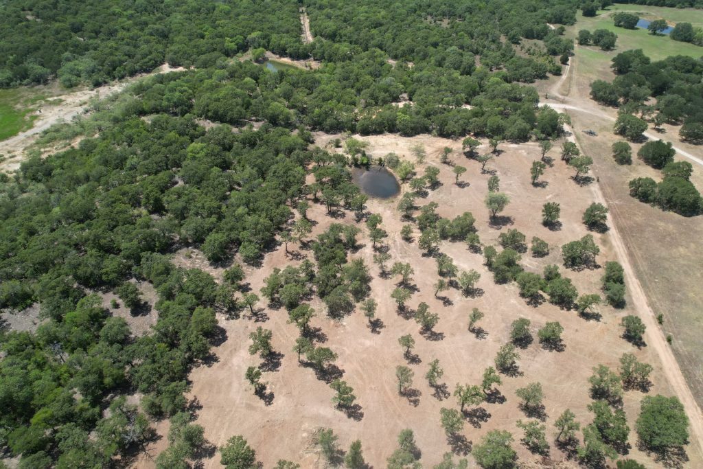 Abilene Land Clearing Services