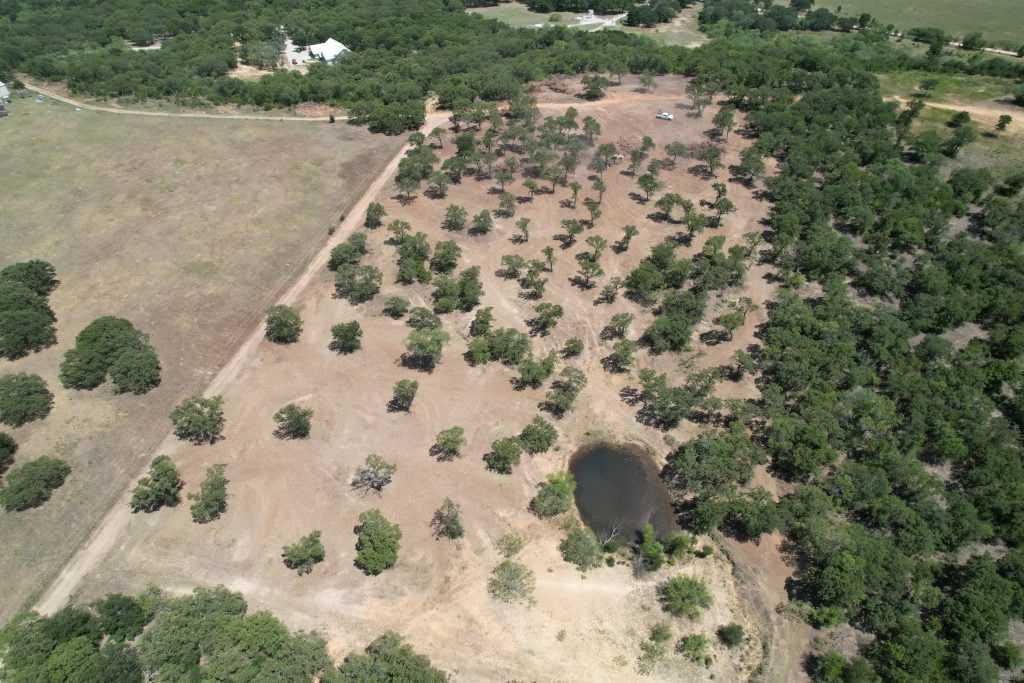Mesquite Land Clearing Services