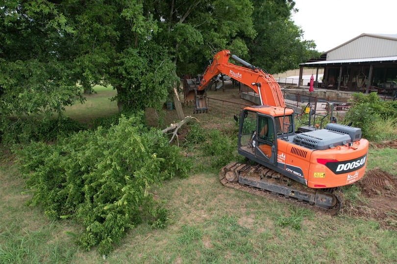 Fort Worth Tree Clearing Services