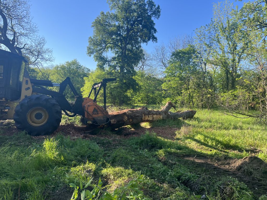 Cypress Land Clearing Services
