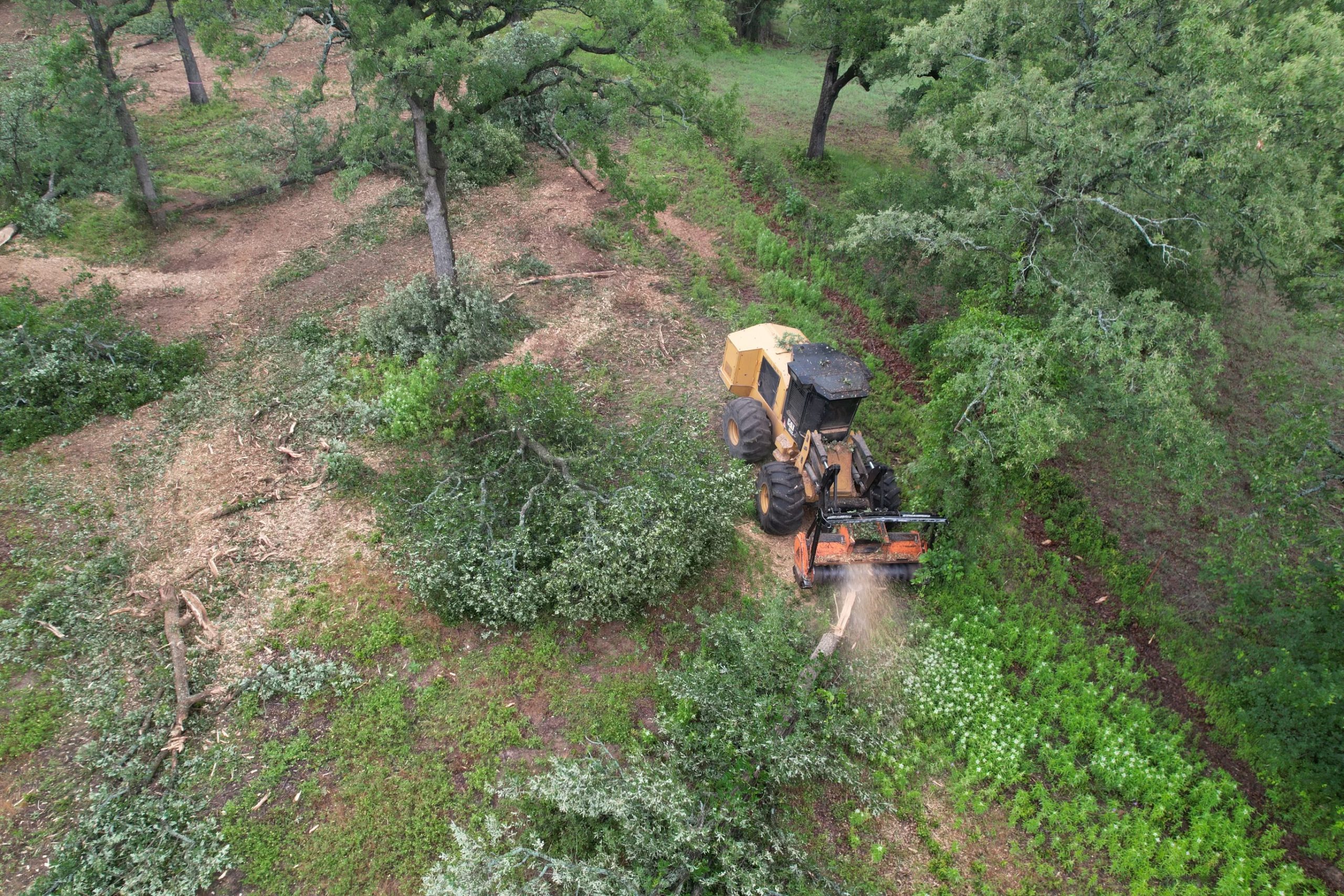 Fort Worth Forestry Mulching