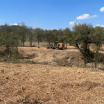 Boyd, Texas Decatur, Texas - Land Management Austin TX - Land Management Tyler TX