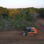 Land Clearing