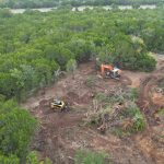 Fort Worth Land Clearing Services - Land Management Midland TX - Land Management Abilene TX - Land Management Plano TX - Land Management Waco TX - Land Management Denton TX